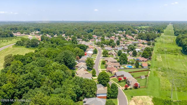 7249 Lucia Lane, Walls, MS 38680