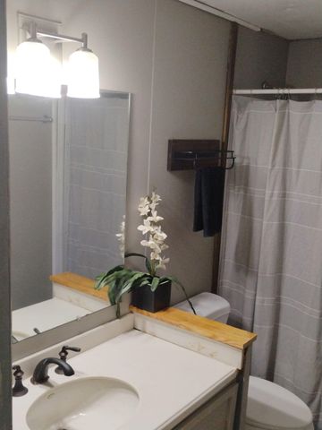 179 Howard Hutsell Lane, Spring City, TN 37381