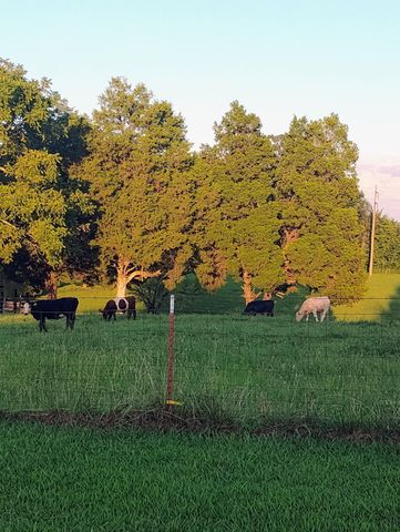 179 Howard Hutsell Lane, Spring City, TN 37381