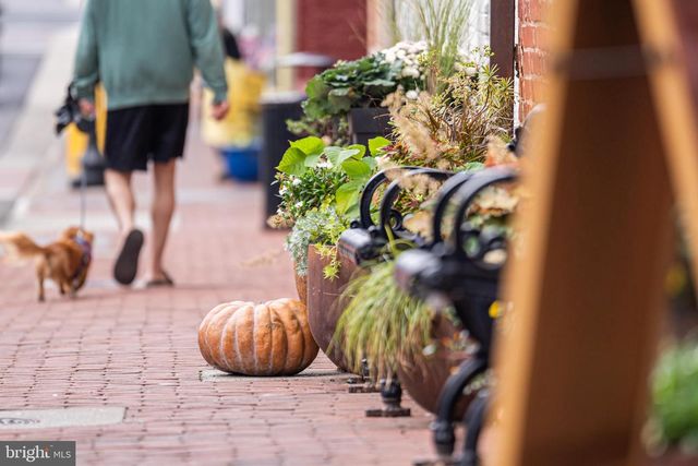 1002 THEMIS ST SE, Leesburg, VA 20175