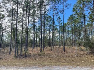 133 AVENUE SE AVENUE SE, Dunnellon, FL 34431