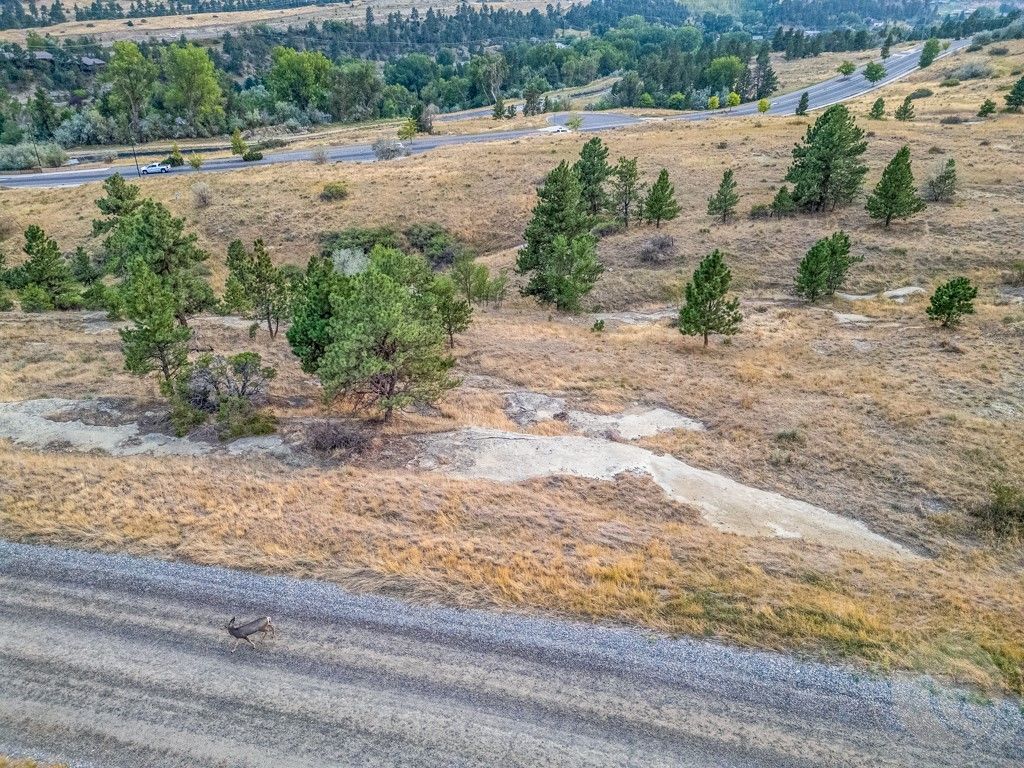 NKN Antelope, Billings, MT 59105 photo 21