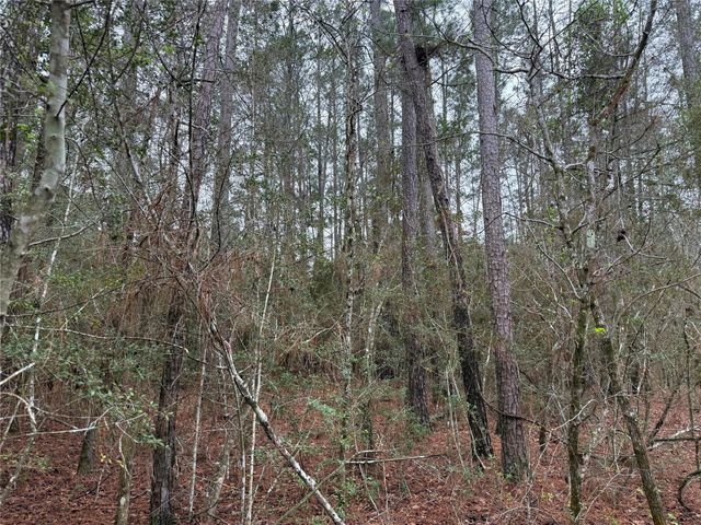 10213 S Autumn Leaf Circle, Magnolia, TX 77354