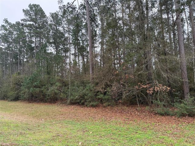 10213 S Autumn Leaf Circle, Magnolia, TX 77354