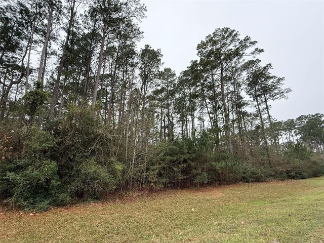 10213 S Autumn Leaf Circle, Magnolia, TX 77354