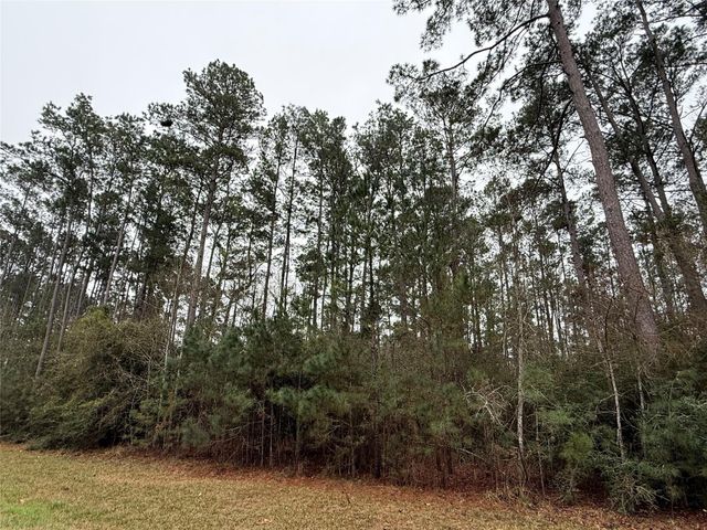 10213 S Autumn Leaf Circle, Magnolia, TX 77354