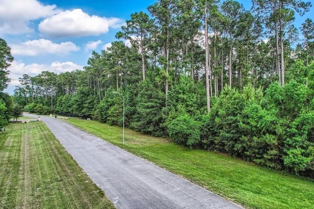 10213 S Autumn Leaf Circle, Magnolia, TX 77354