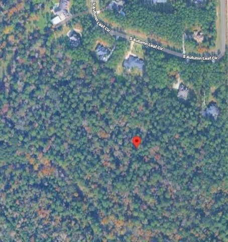 10213 S Autumn Leaf Circle, Magnolia, TX 77354