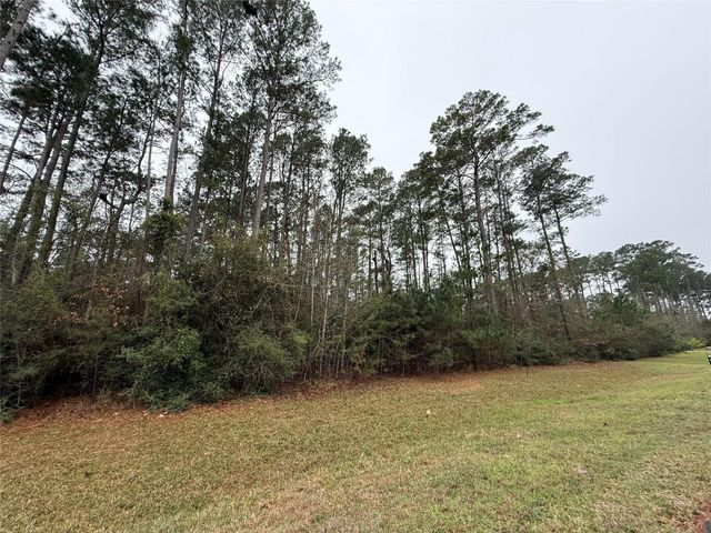 10213 S Autumn Leaf Circle, Magnolia, TX 77354