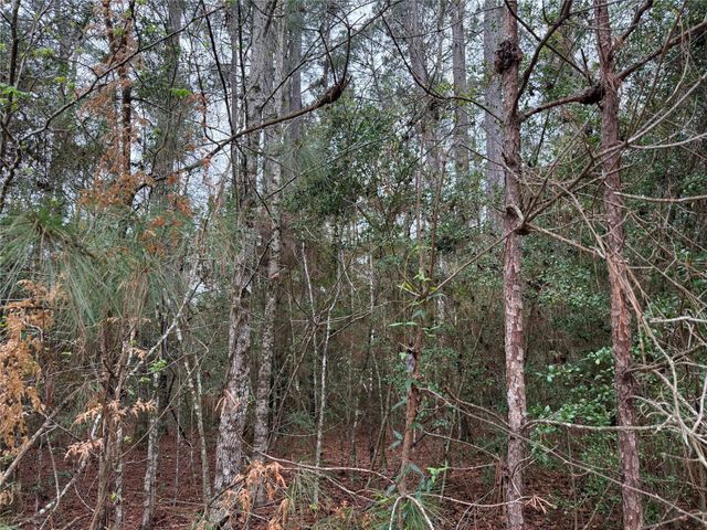 10213 S Autumn Leaf Circle, Magnolia, TX 77354