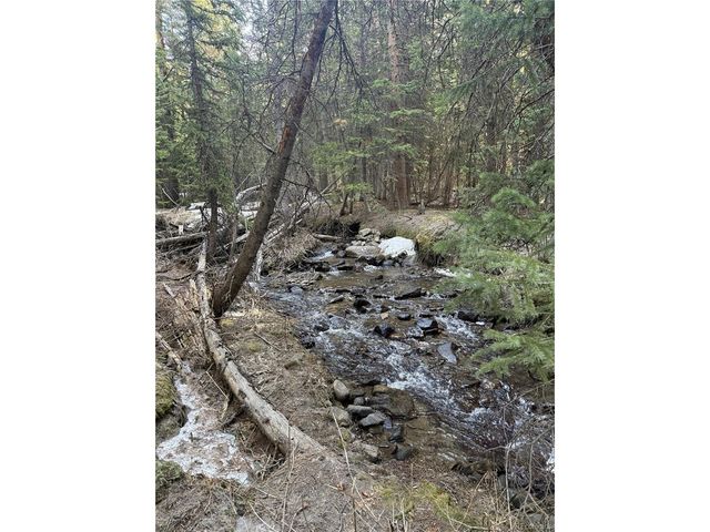 611 Silver Creek Rd, Idaho Springs, CO 80452