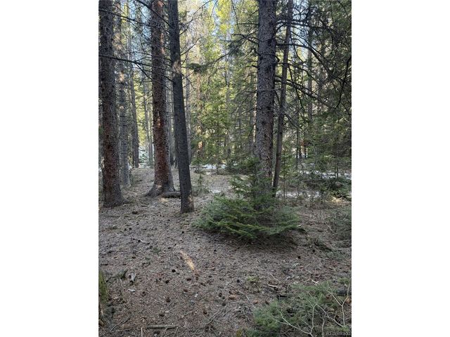 611 Silver Creek Rd, Idaho Springs, CO 80452