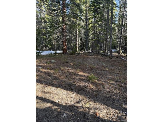 611 Silver Creek Rd, Idaho Springs, CO 80452