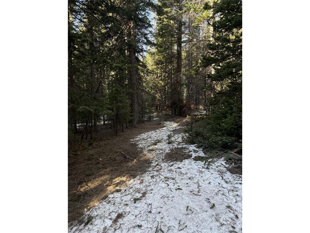 611 Silver Creek Rd, Idaho Springs, CO 80452