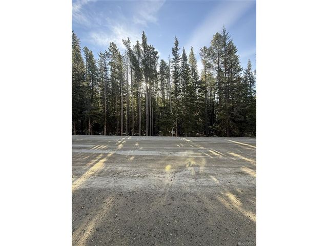 611 Silver Creek Rd, Idaho Springs, CO 80452