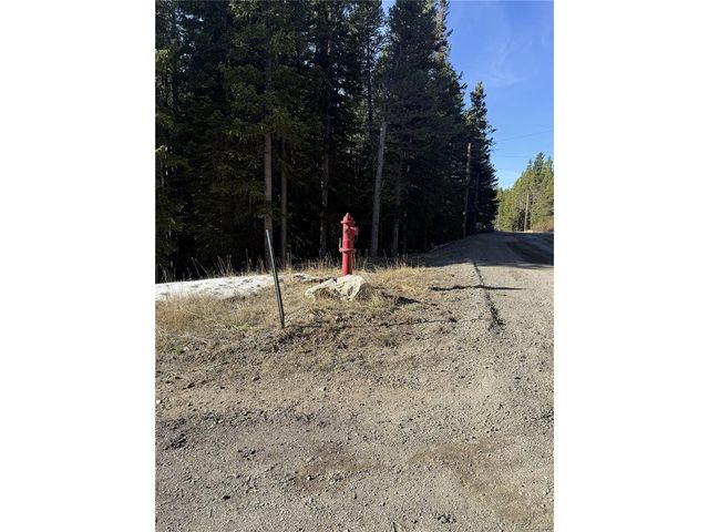 611 Silver Creek Rd, Idaho Springs, CO 80452