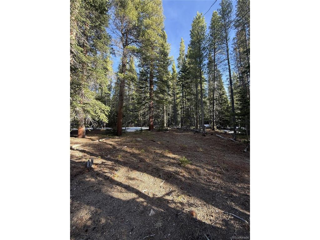 611 Silver Creek Rd, Idaho Springs, CO 80452