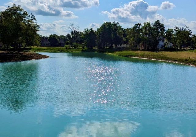 4802 Shadow Pond Ln, Alvin, TX 77511