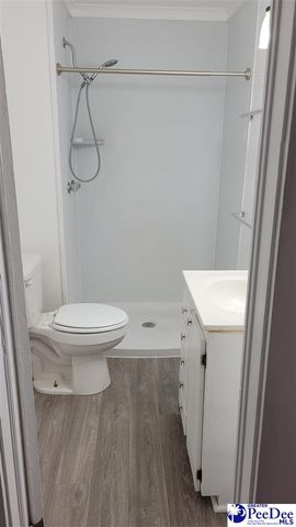 132 N Pine Court Circle, Florence, SC 29506