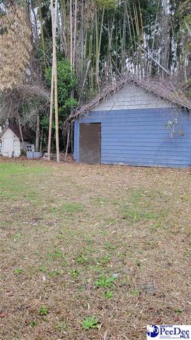 132 N Pine Court Circle, Florence, SC 29506