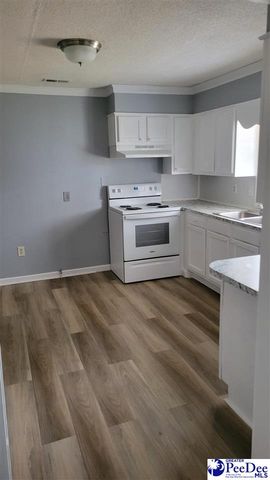 132 N Pine Court Circle, Florence, SC 29506