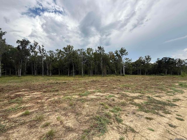 6-Z-1-B Pertuis Rd, St Amant, LA 70774