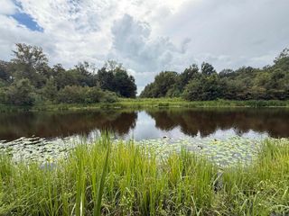 6-Z-1-B Pertuis Rd, St Amant, LA 70774