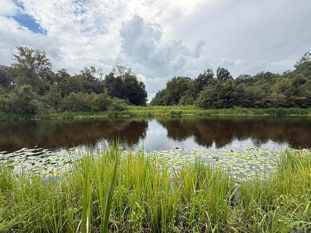 6-Z-1-B Pertuis Rd, St Amant, LA 70774