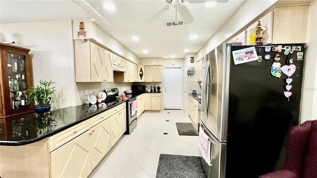 14216 BRIARTHORN DRIVE, Tampa, FL 33625