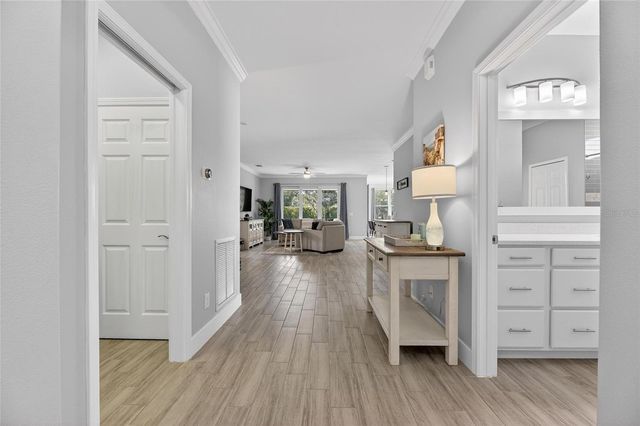 317 SILVER FALLS DRIVE, Apollo Beach, FL 33572