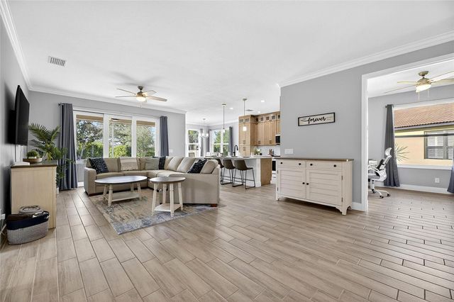 317 SILVER FALLS DRIVE, Apollo Beach, FL 33572