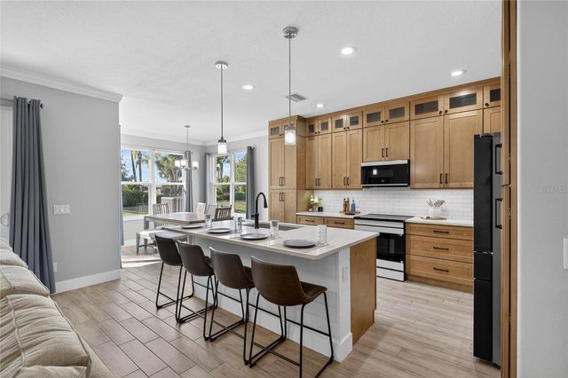 317 SILVER FALLS DRIVE, Apollo Beach, FL 33572