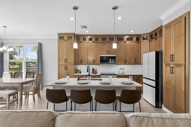 317 SILVER FALLS DRIVE, Apollo Beach, FL 33572