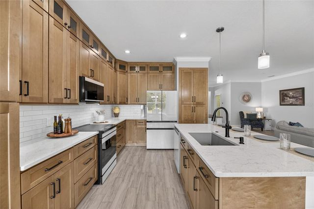 317 SILVER FALLS DRIVE, Apollo Beach, FL 33572