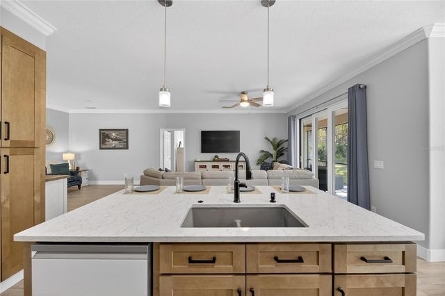 317 SILVER FALLS DRIVE, Apollo Beach, FL 33572