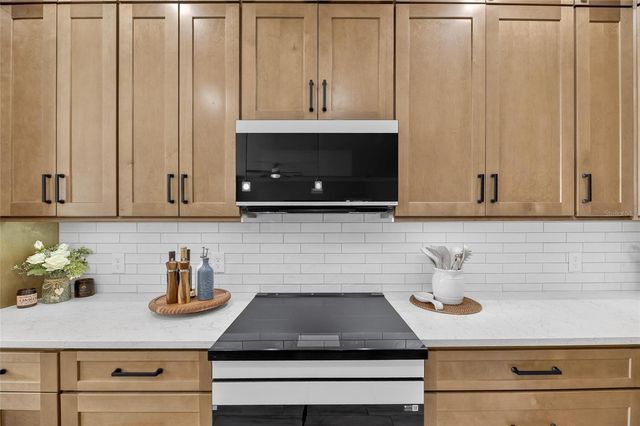 317 SILVER FALLS DRIVE, Apollo Beach, FL 33572