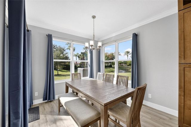 317 SILVER FALLS DRIVE, Apollo Beach, FL 33572