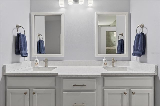 317 SILVER FALLS DRIVE, Apollo Beach, FL 33572