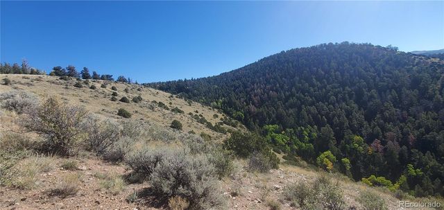 Lot 5821 Covington Road, Fort Garland, CO 81133