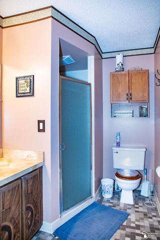 24576 Arsenal Road, Brownstown Twp, MI 48134