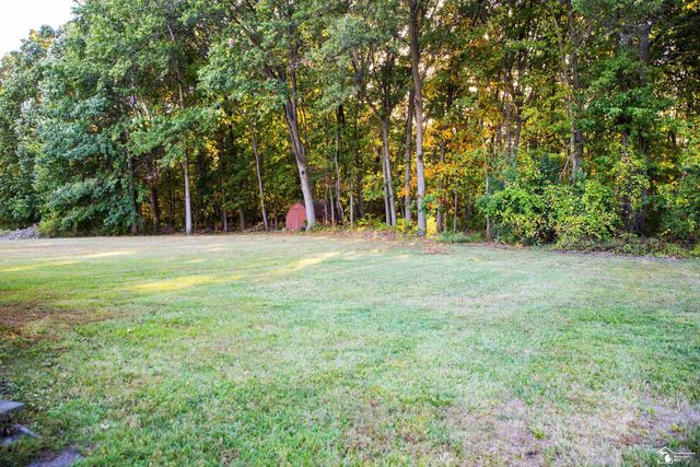 24576 Arsenal Road, Brownstown Twp, MI 48134