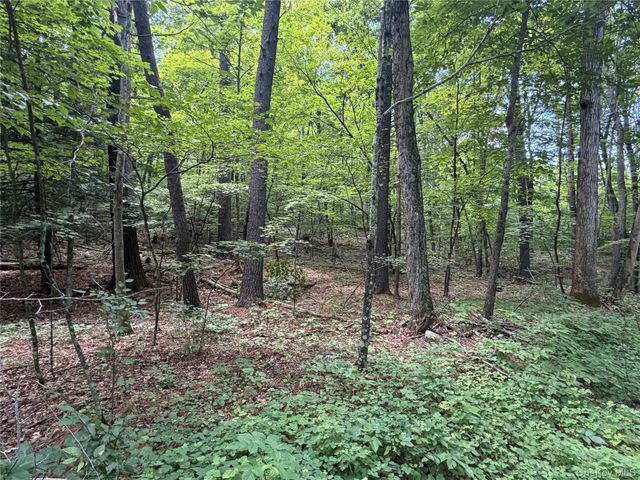 463 Main Street, Saugerties, NY 12477