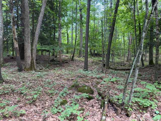 463 Main Street, Saugerties, NY 12477