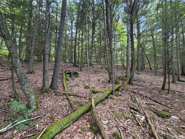 463 Main Street, Saugerties, NY 12477