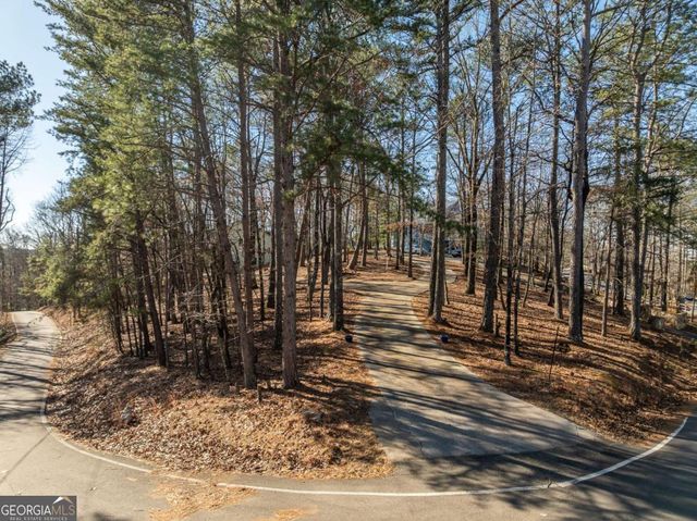 48 Palisade Drive 2110R, Ellijay, GA 30540