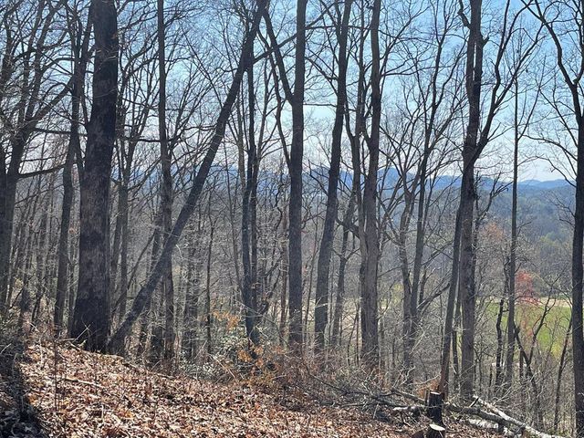 22M 26M Ridges Fairway, Hayesville, NC 28904