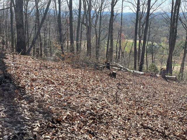 22M 26M Ridges Fairway, Hayesville, NC 28904