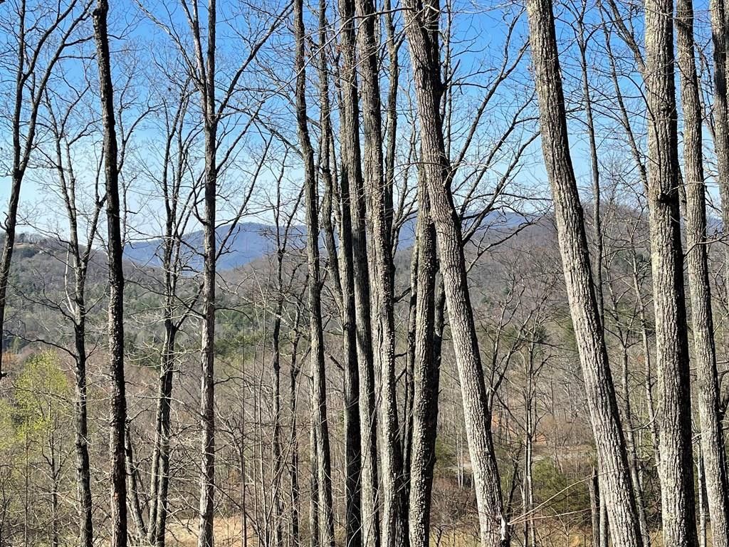 22M 26M Ridges Fairway, Hayesville, NC 28904