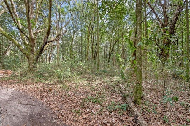 0 Pioneer Road, Theodore, AL 36582