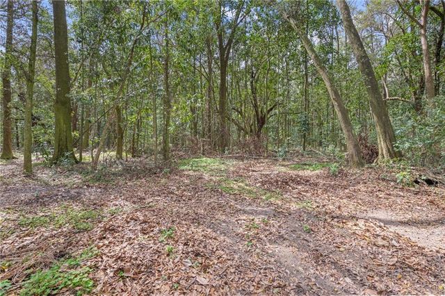 0 Pioneer Road, Theodore, AL 36582